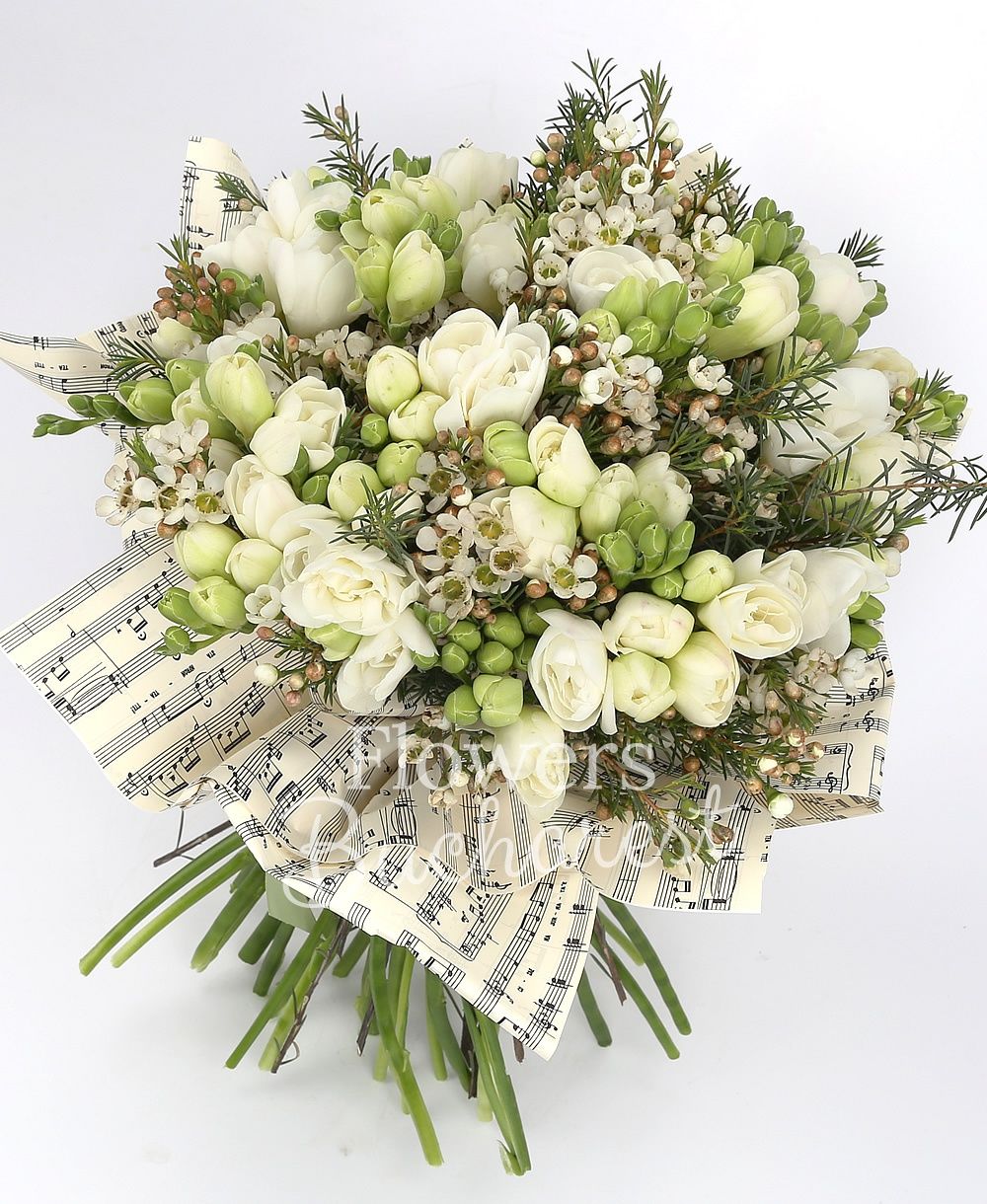 35 white freesias, greenery