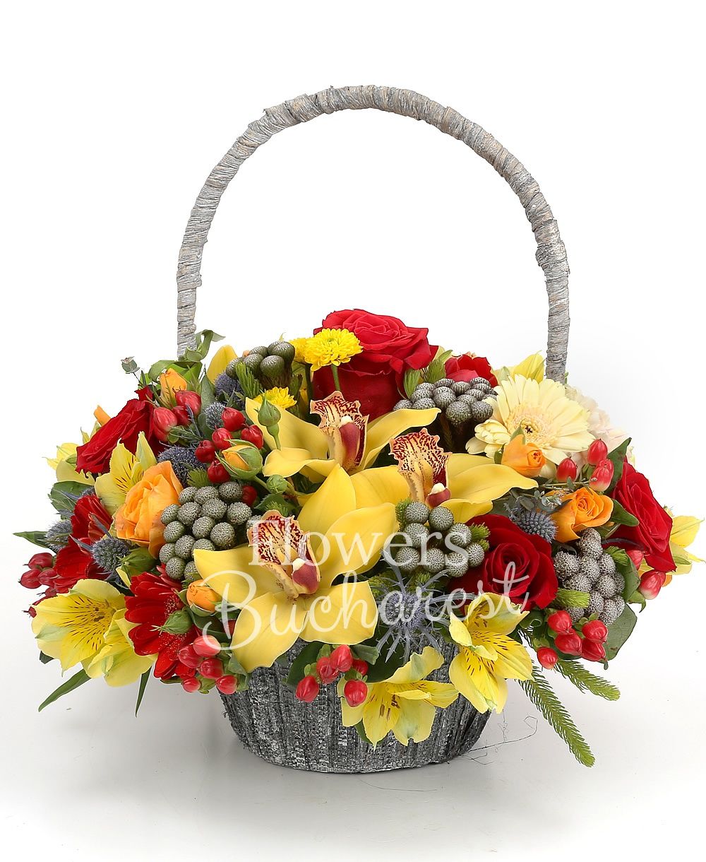 5 red roses, 3 orange miniroses, 7 yellow santini, 5 brunia, 3 yellow alstroemeria, yellow cymbidium, 5 cream carnations, 2 eryngium, 5 red hypericum, 5 red gerbera, greenery