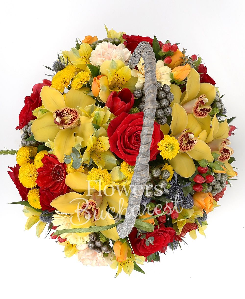 5 red roses, 3 orange miniroses, 7 yellow santini, 5 brunia, 3 yellow alstroemeria, yellow cymbidium, 5 cream carnations, 2 eryngium, 5 red hypericum, 5 red gerbera, greenery