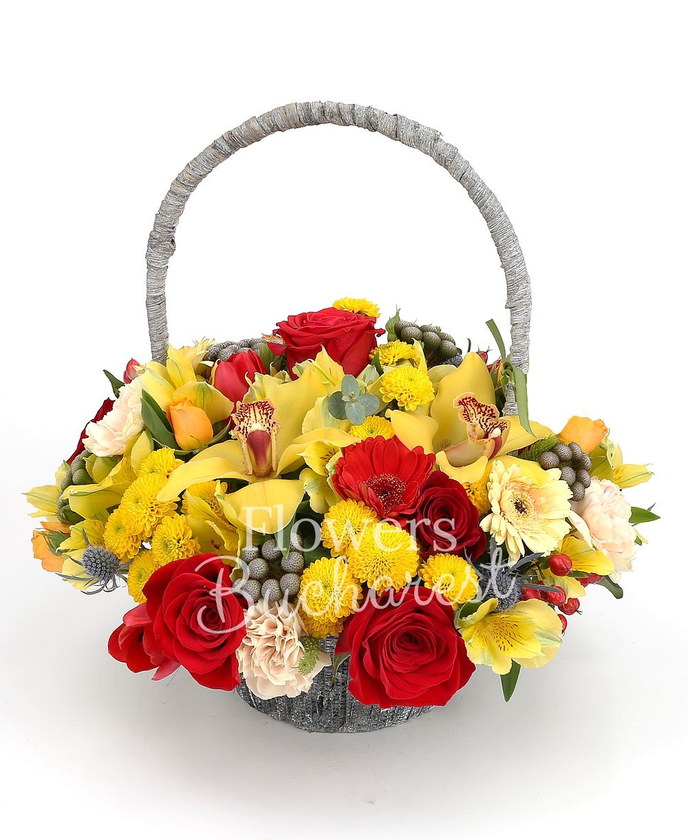 5 red roses, 3 orange miniroses, 7 yellow santini, 5 brunia, 3 yellow alstroemeria, yellow cymbidium, 5 cream carnations, 2 eryngium, 5 red hypericum, 5 red gerbera, greenery