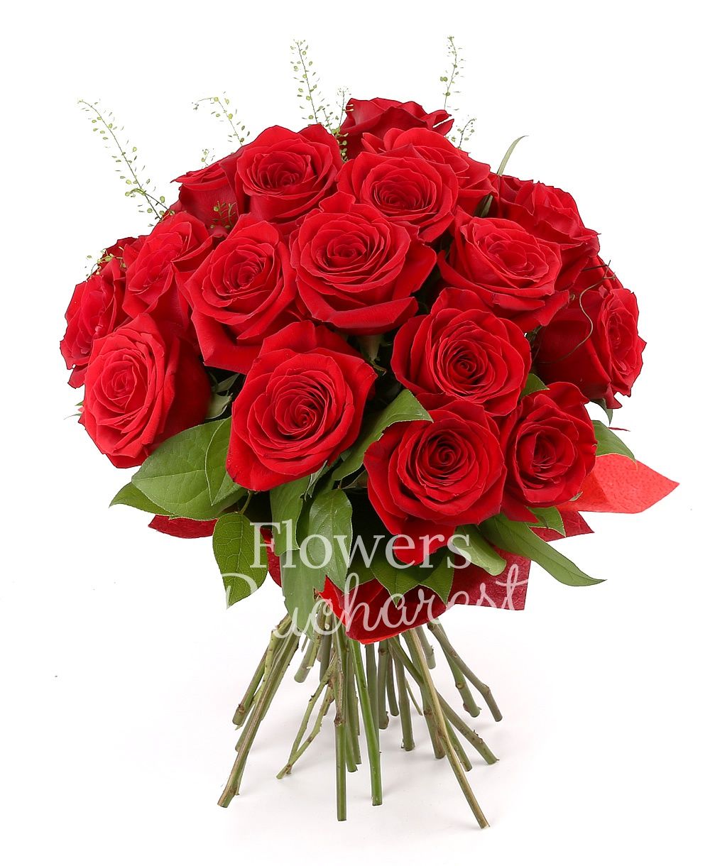 19 red roses, greenery