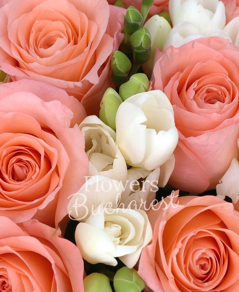 19 pink roses, 40 white freesias