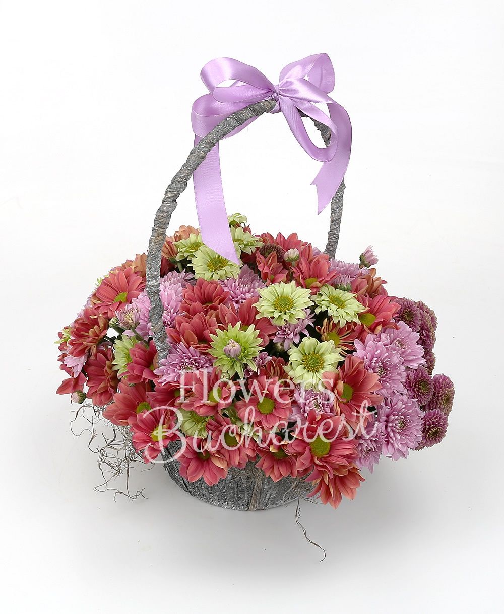 5 pink chrysanthemums, 5 purple chrysanthemums, 8 cream chrysanthemums, 3 green chrysanthemums