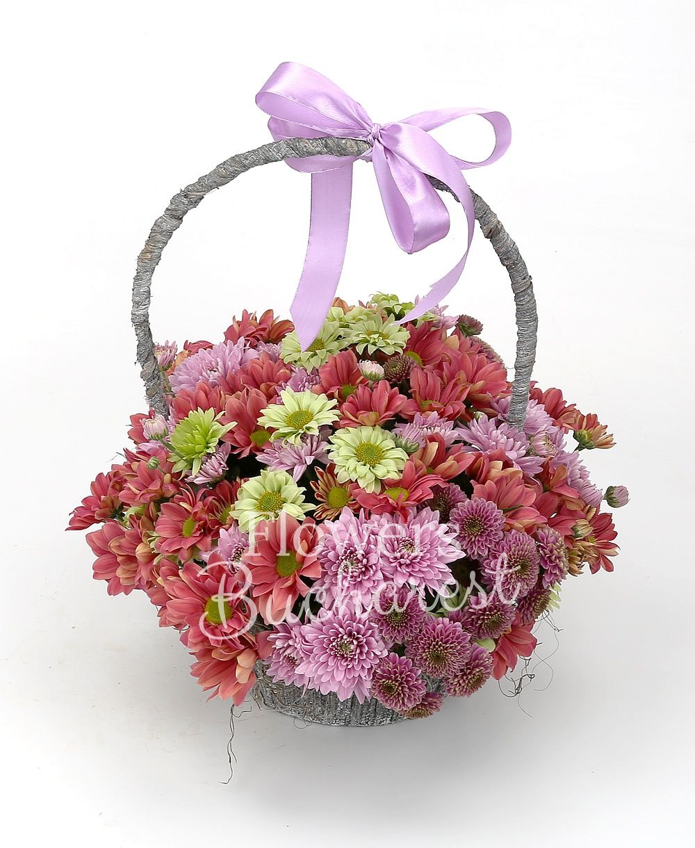 5 pink chrysanthemums, 5 purple chrysanthemums, 8 cream chrysanthemums, 3 green chrysanthemums