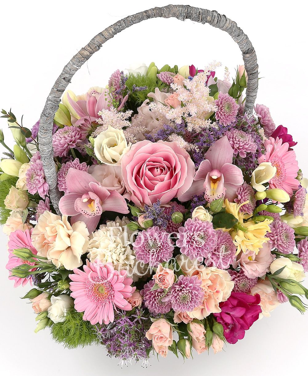 3 pink roses, 5 pink miniroses, 5 mauve chrysanthemums, 5 pink gerbera, 5 cream carnations, 3 pink lisianthus, 3 pink astilbe, 5 white freesias, 5 pink gerbera, 5 cyclam freesias, 5 green carnations, red astranția, 3 allium, statice