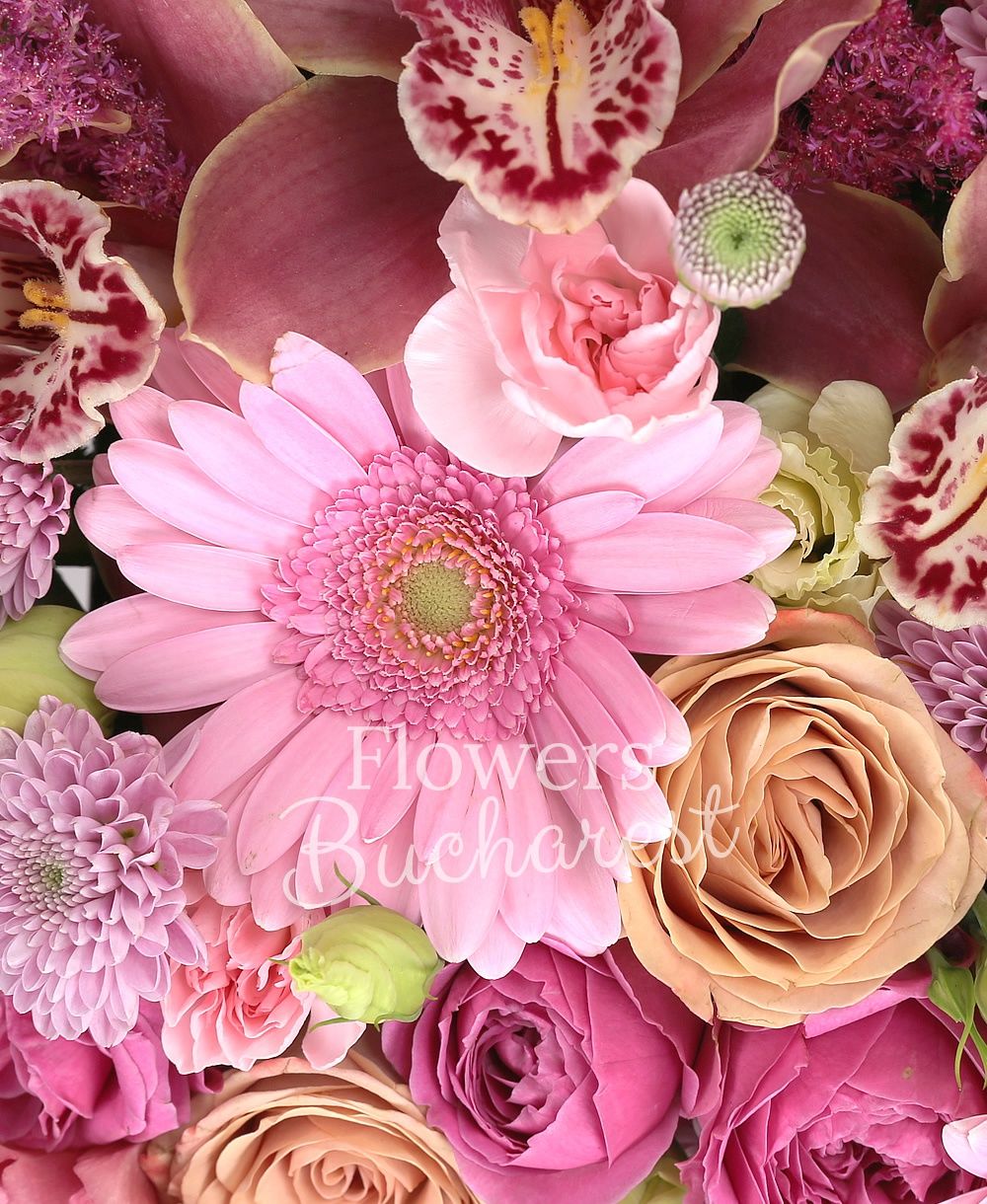 3 cappuccino roses, 3 cream carnations, 3 pink carnations, 3 purple santini, 1 pink waxflower, 3 red astilbe, garnet cymbidium, greenery