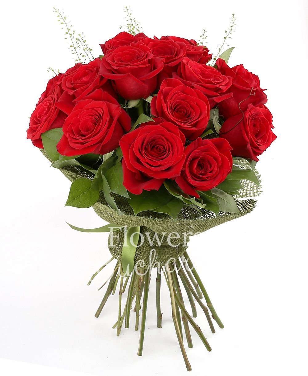 17 red roses, greenery