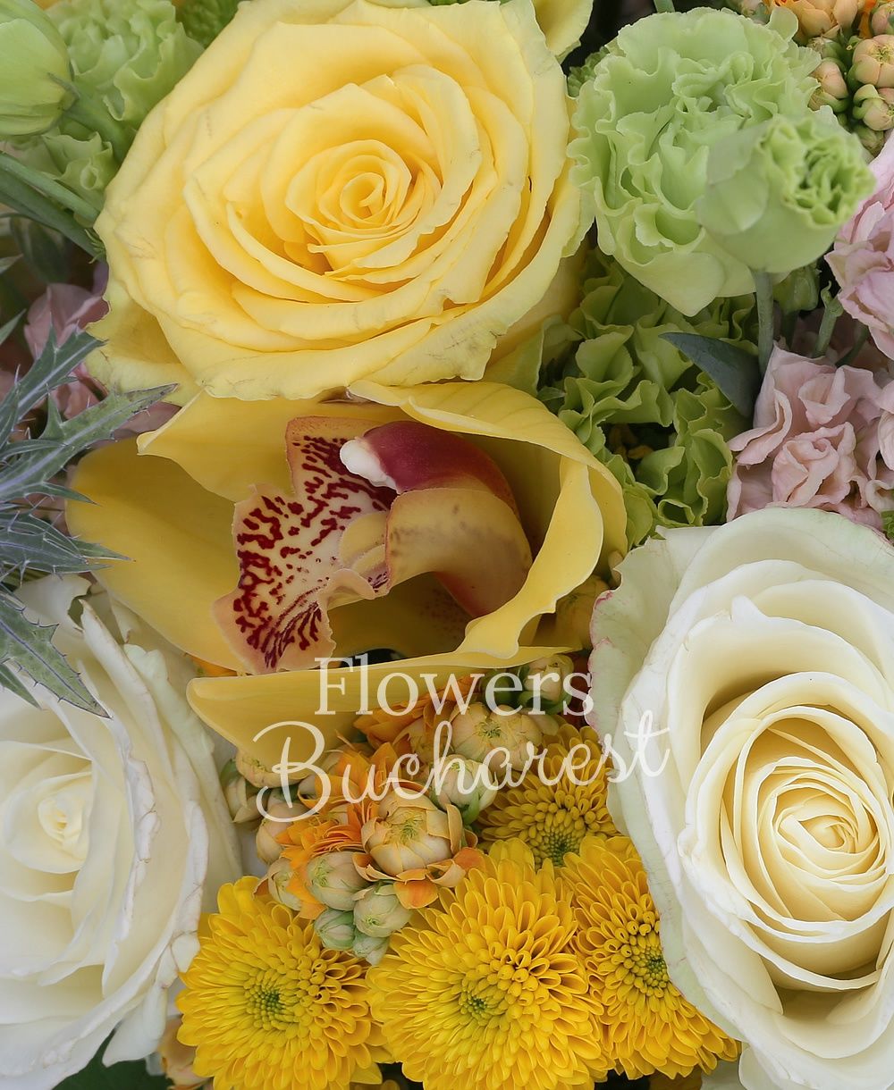 5 yellow roses, 5 cream roses, 5 yellow santini, 5 green santini, 7 cream matthiola, 5 craspedia, 3 eryngium, 3 green lisianthus, 5 orange kalanchoe, yellow cymbidium, greenery