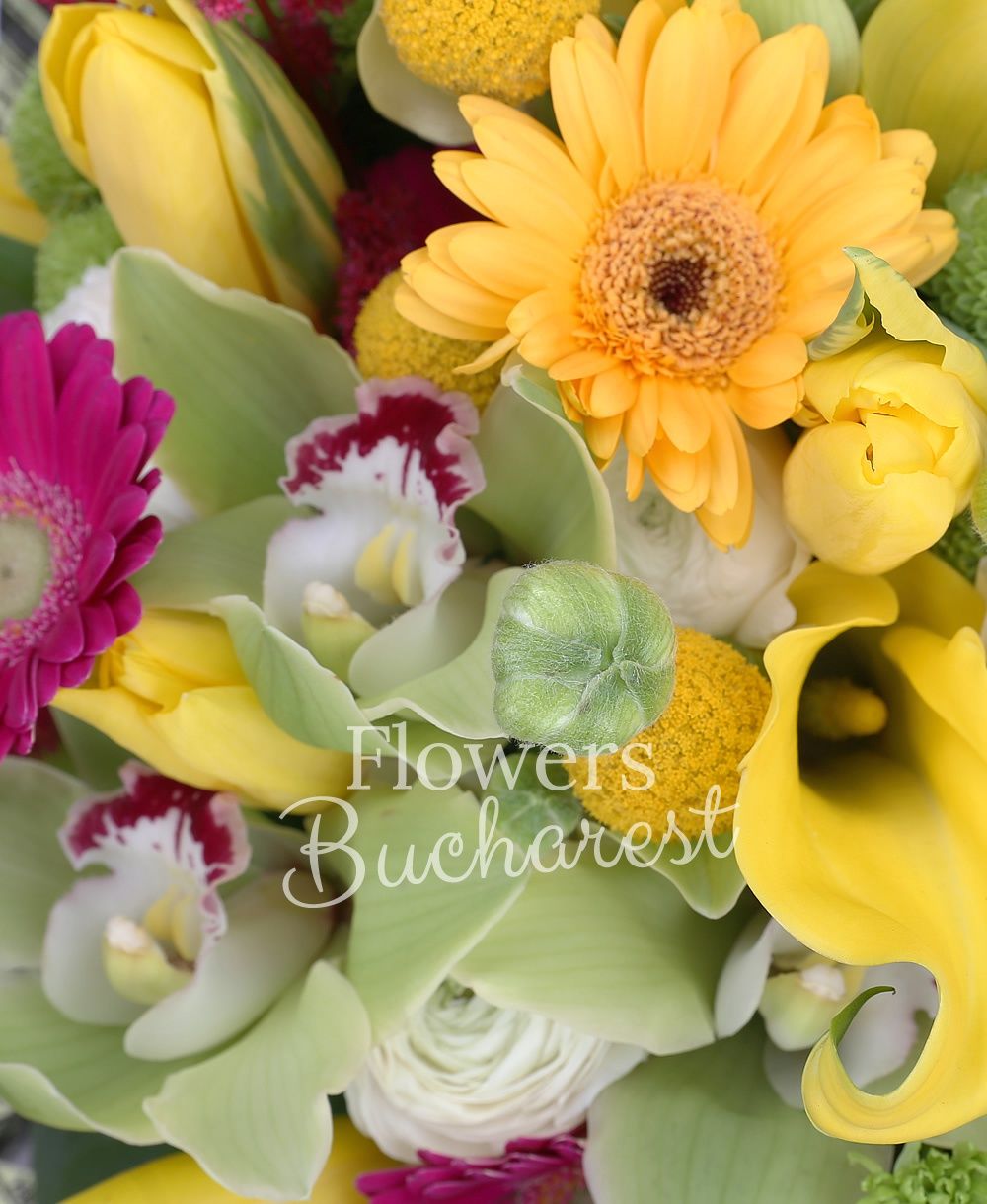 5 yellow cala, 10 white ranunculus, 5 red astilbe, 3 cyclam gerbera, 5 yellow gerbera, 10 yellow tulips, 5 craspedia, 5 green santini, green cymbidium, greenery