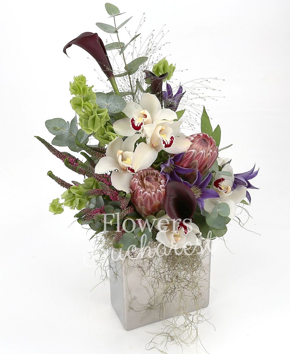 2 red proteea, white cymbidium, 3 black cala, 2 panicum, 2 mauve clematis, 5 pink veronica, 3 green molucela, greenery