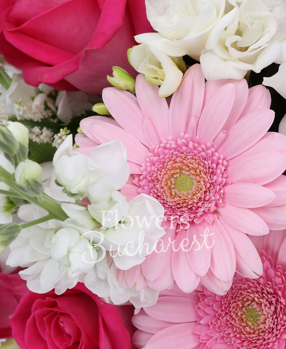 15 cyclam roses, 9 pink gerbera, 7 white matthiola, 20 white freesias, 5 white astilbe, white cymbidium, greenery