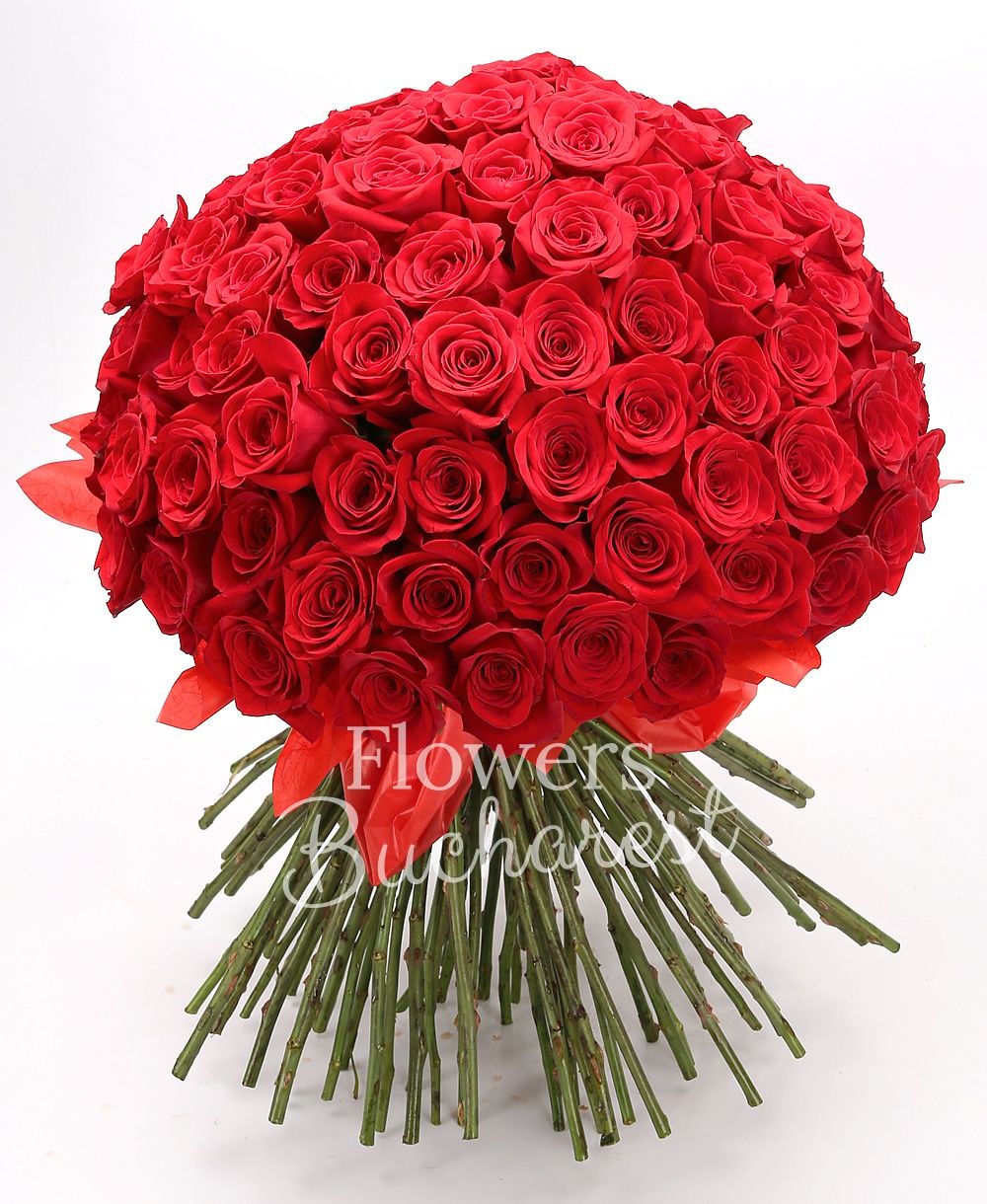 101 red roses