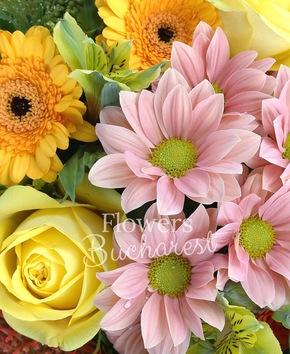 5 yellow roses, 5 yellow gerbera, 5 yellow miniroses, 5 yellow alstroemeria, 5 leucospermum, 5 panicum, 5 solidago, 4 cream chrysanthemums, greenery