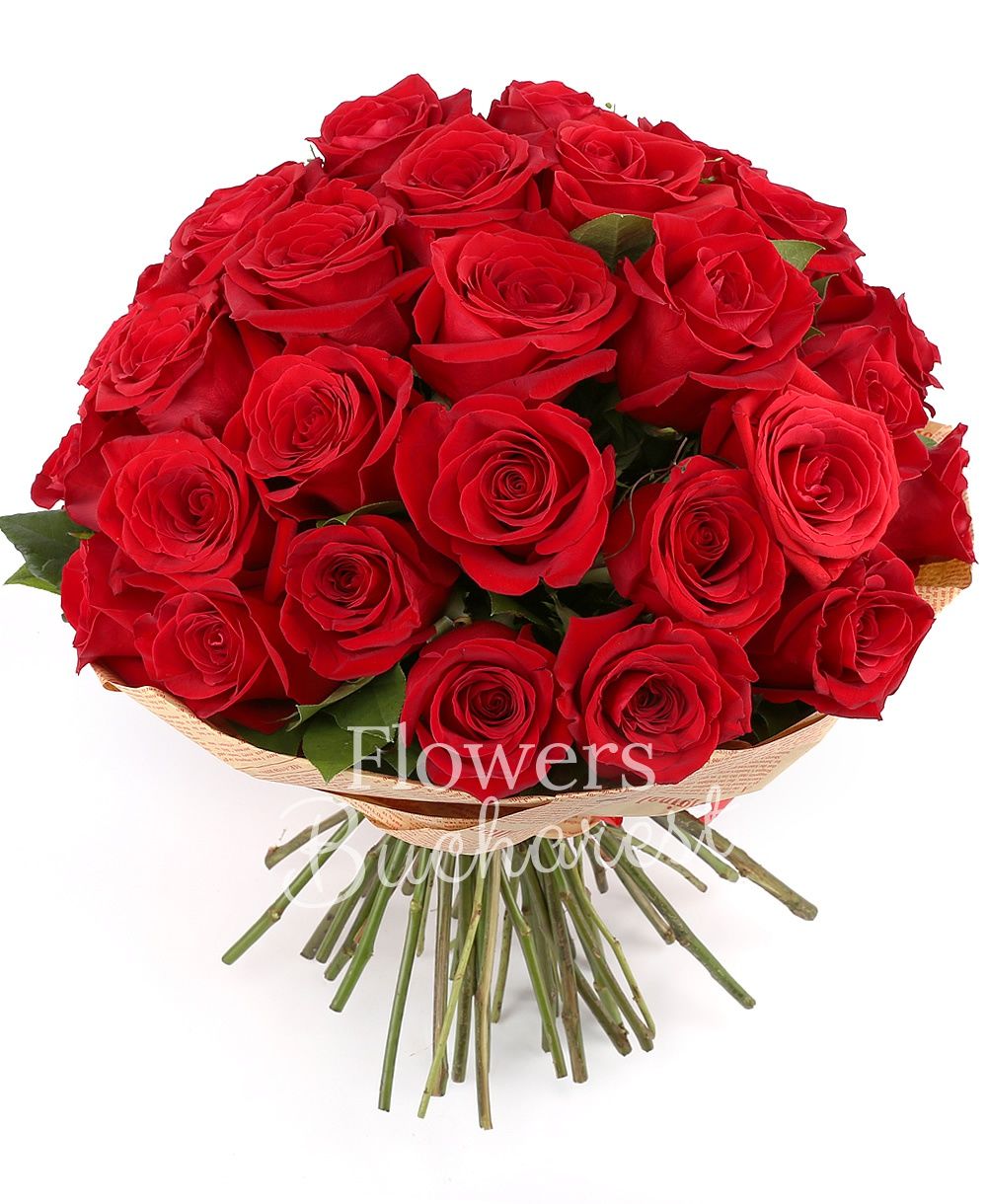 33 red roses, greenery