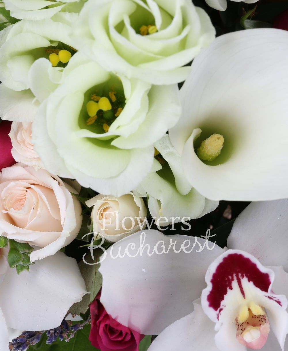 7 cyclam roses, 3 pink lisianthus, 2 mint lisianthus, 7 white cala, 9 pink tulips, 10 white freesias, 3 cream miniroses, green cymbidium, white cymbidium, lavender, greenery