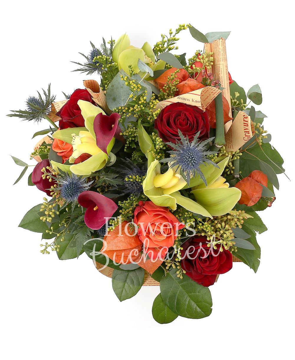 3 red roses, 2 orange roses, 3 cyclam cala, green cymbidium, blue eryngium, solidago, rhipsalis, greenery