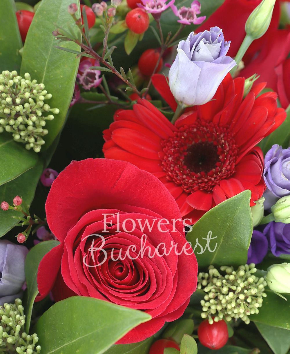 9 red roses, 9 red gerbera, 7 mauve lisianthus, 10 red hypericum, 5 waxflower, 5 schimia, greenery