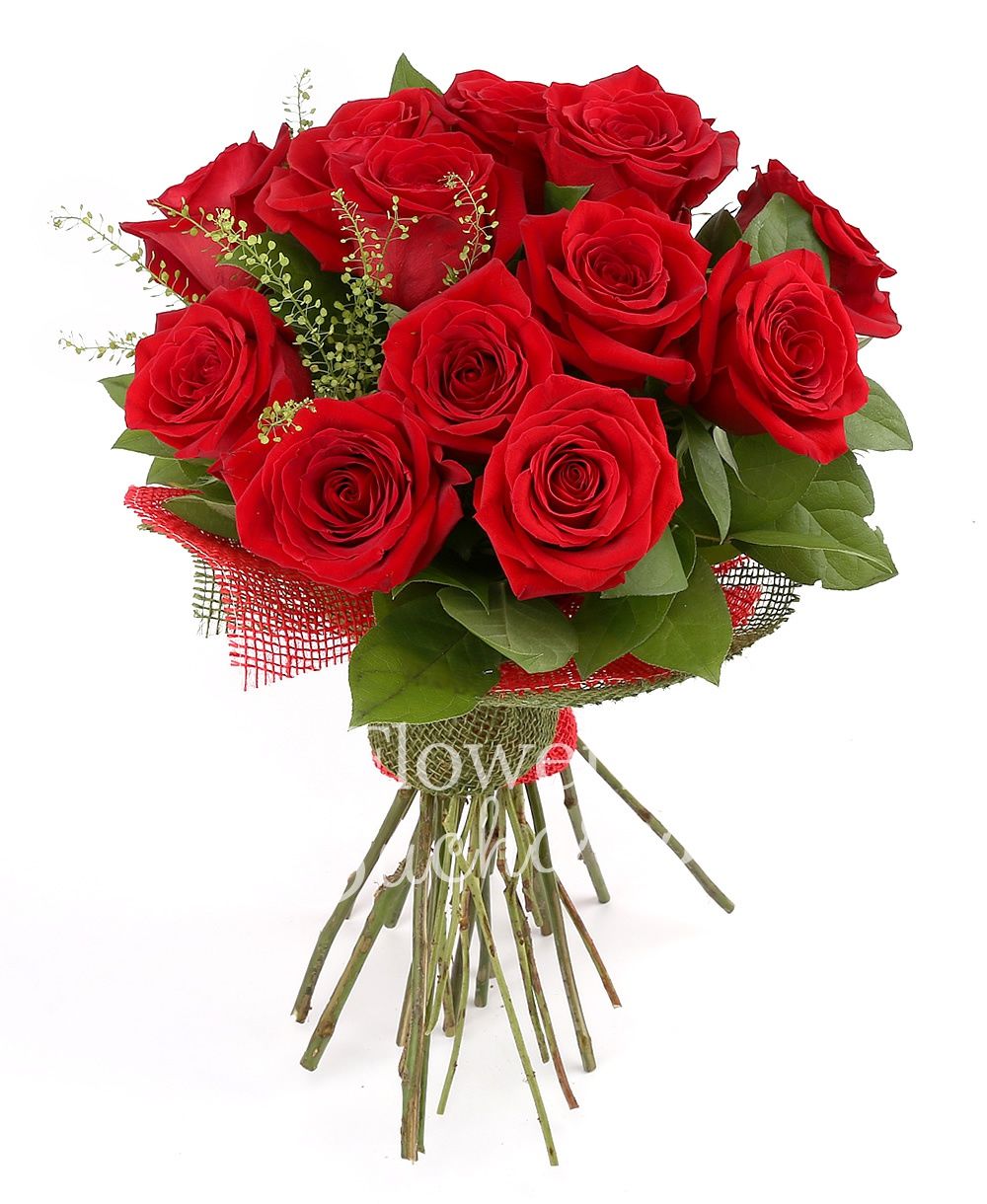 15 red roses, greenery