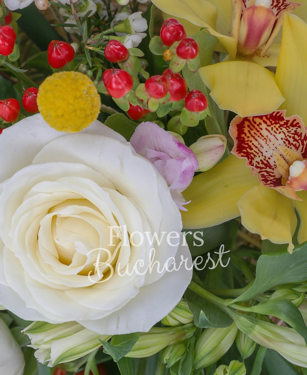 3 white roses, 3 white alstroemeria, 5 red tulips, 3 red hypericum, 5 white freesias, yellow cymbidium, 3 yellow craspedia, greenery