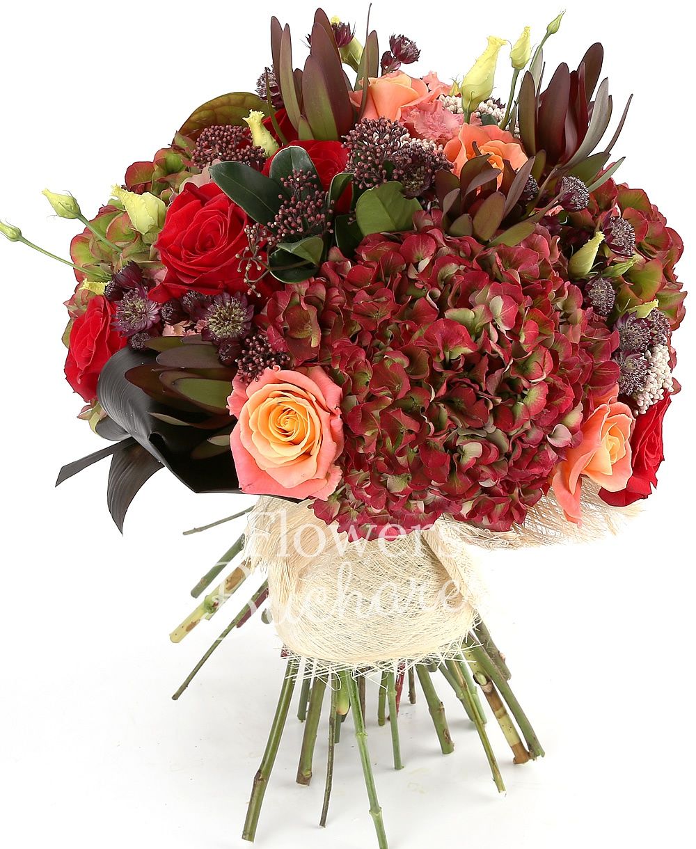 4 hydrangeas, 9 red roses, 5 banana colour roses, 5 rice flower, 5 leucadendron, 5 cream lisianthus, 10 brunia, 10 astranția, 1 garnet anthurium, 5 black tide