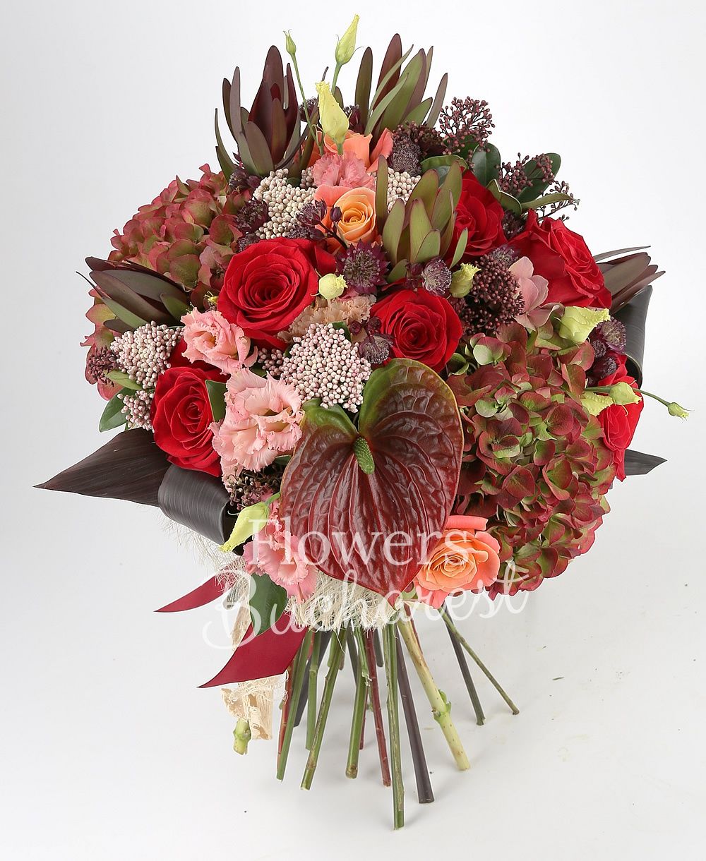 4 hydrangeas, 9 red roses, 5 banana colour roses, 5 rice flower, 5 leucadendron, 5 cream lisianthus, 10 brunia, 10 astranția, 1 garnet anthurium, 5 black tide