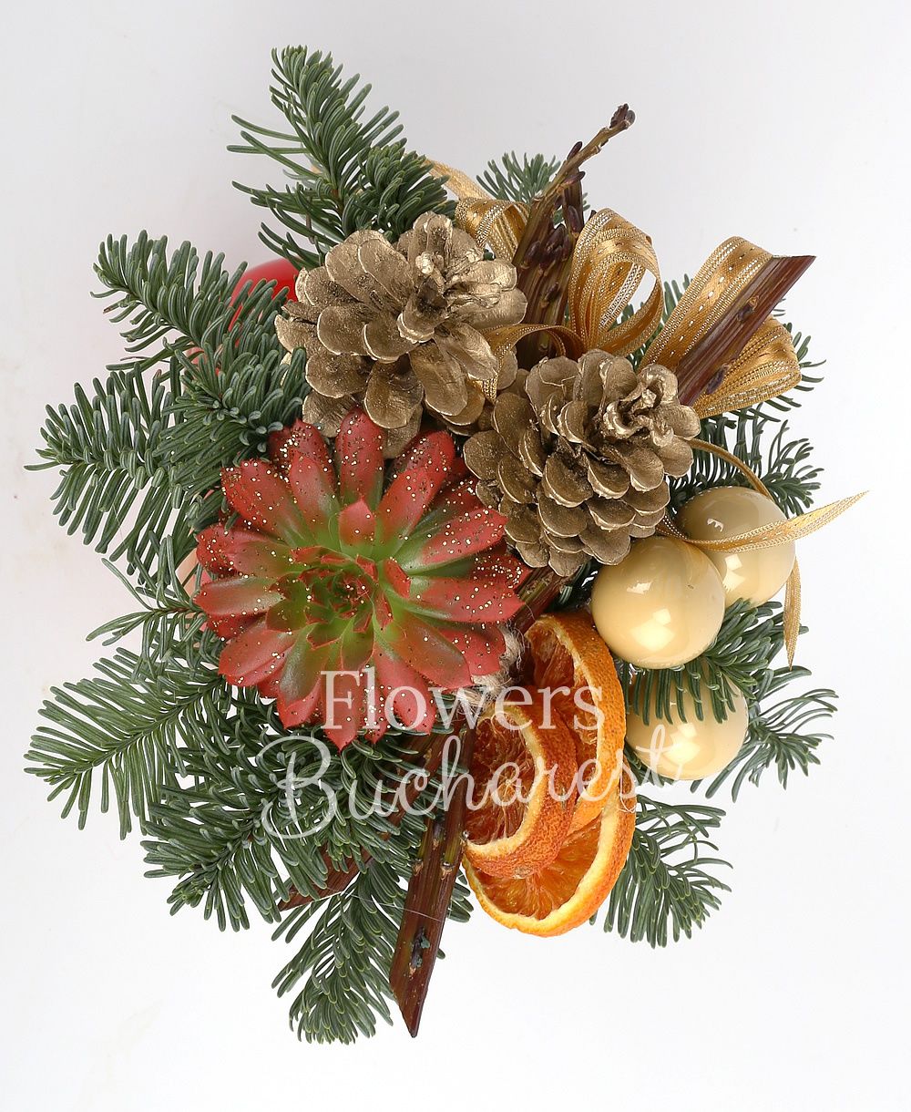 1 echeveria, cones, globes, dried orange, ceramic vase