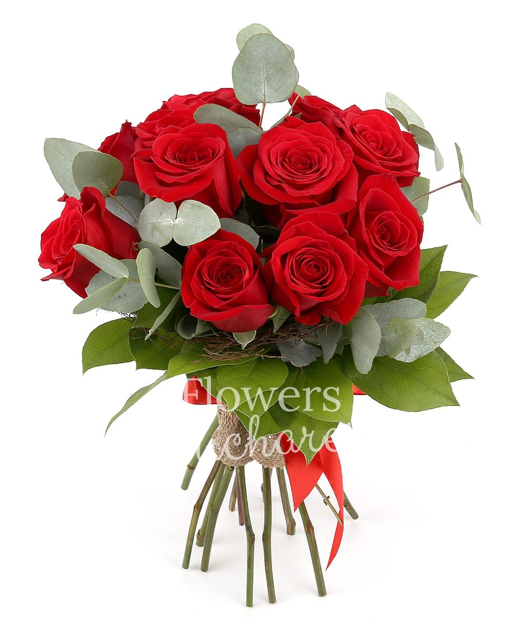 11 red roses, greenery