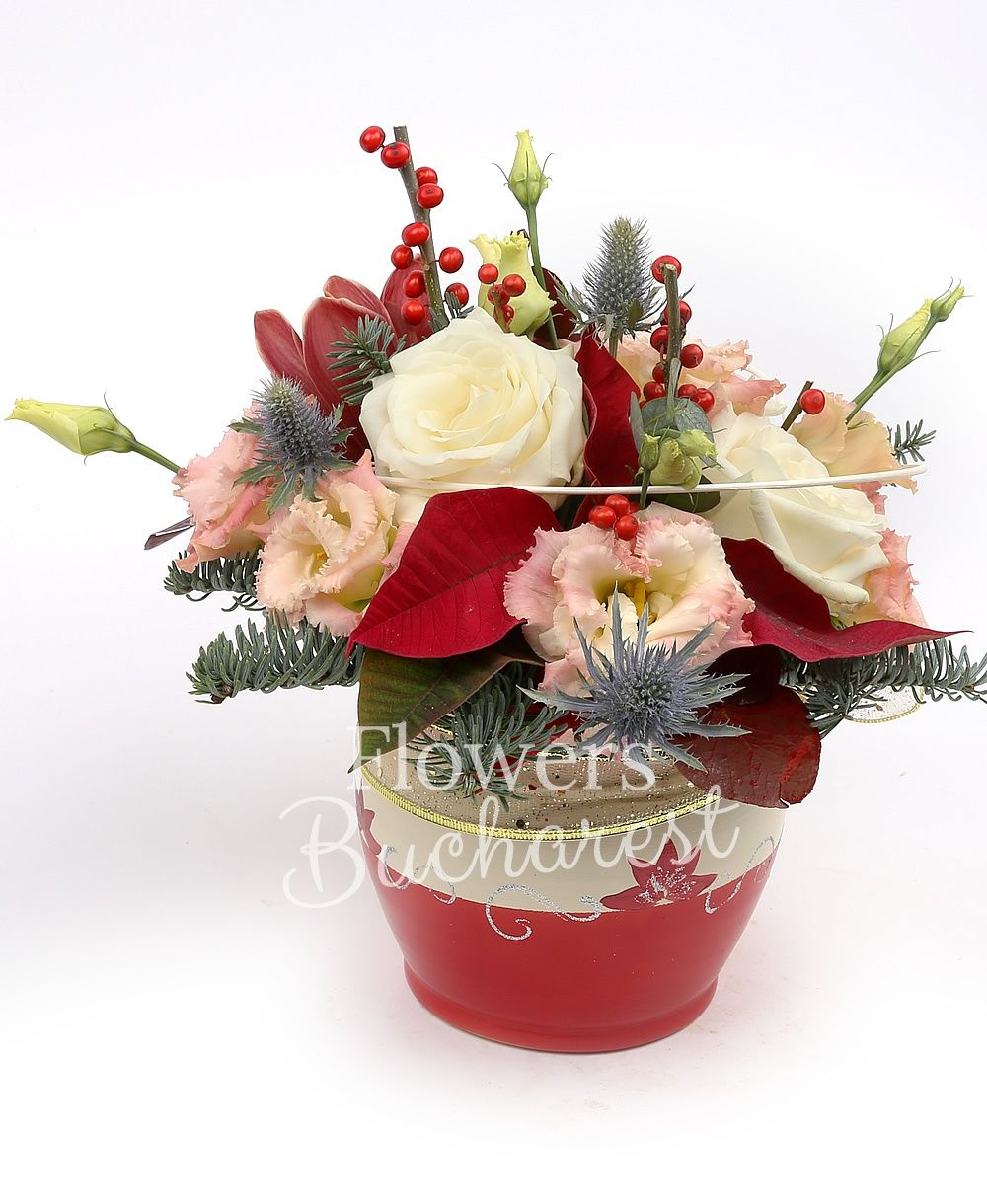 3 white roses, 1 garnet cymbidium, 3 pink lisianthus, ilex, eryngium, poinsettia, greenery