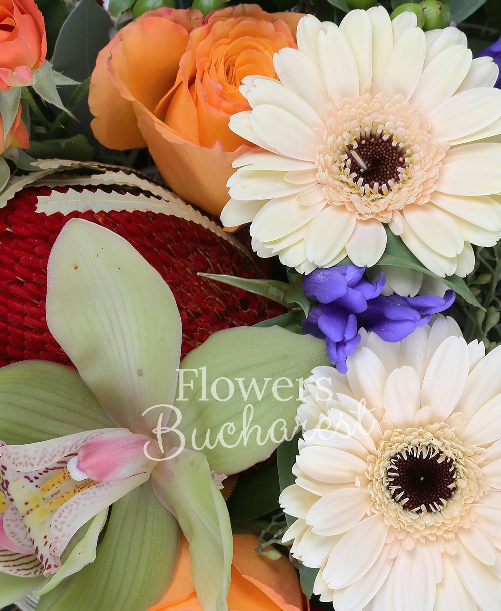 5 blue gentian, 3 orange roses, 3 cream gerbera, 3 orange miniroses, 3 green lisianthus, 3 green hypericum, 3 cyclam dianthus, 3 red tulips, waxflower, greenery