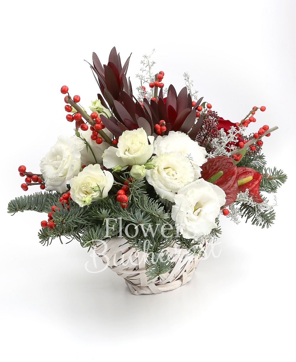 3 red roses, 2 ilex, 2 red anthurium, 3 leucadendron, 3 white lisianthus, 2 schimia, greenery