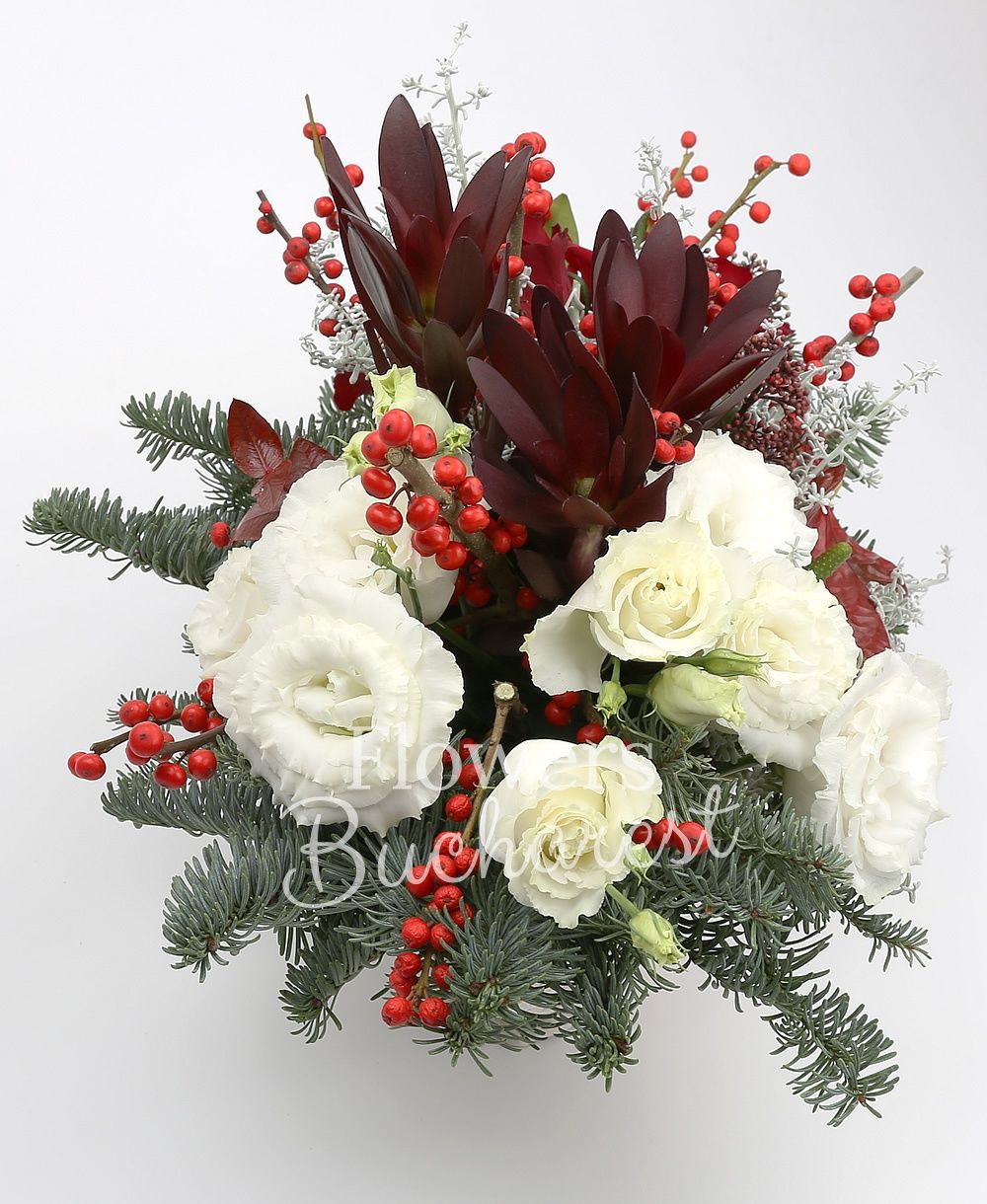 3 red roses, 2 ilex, 2 red anthurium, 3 leucadendron, 3 white lisianthus, 2 schimia, greenery