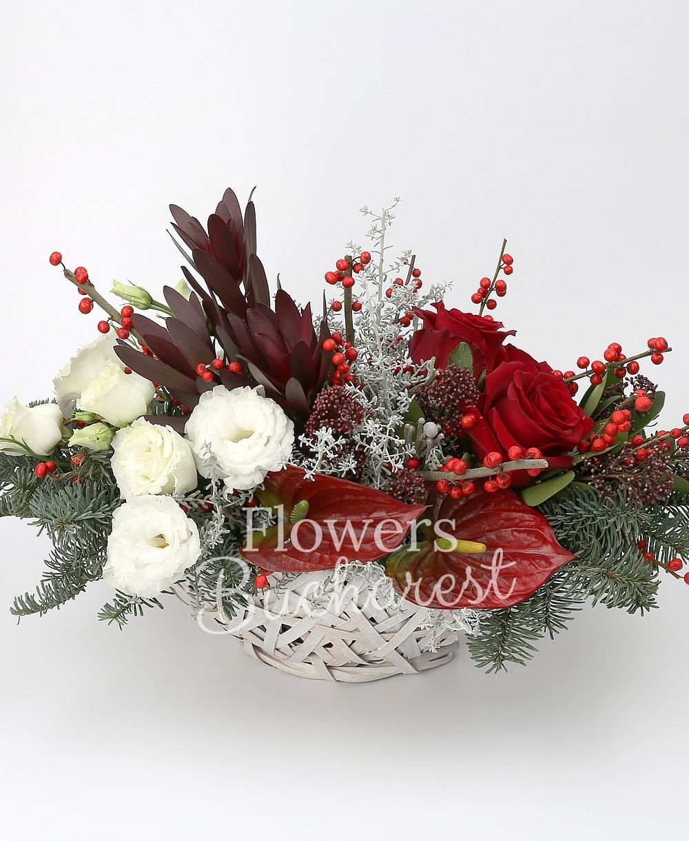 3 red roses, 2 ilex, 2 red anthurium, 3 leucadendron, 3 white lisianthus, 2 schimia, greenery