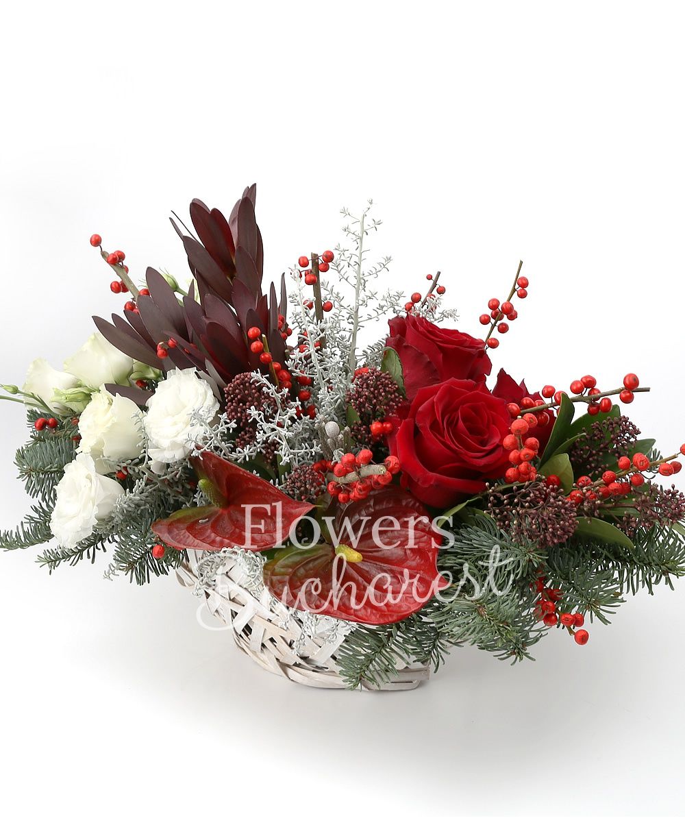 3 red roses, 2 ilex, 2 red anthurium, 3 leucadendron, 3 white lisianthus, 2 schimia, greenery