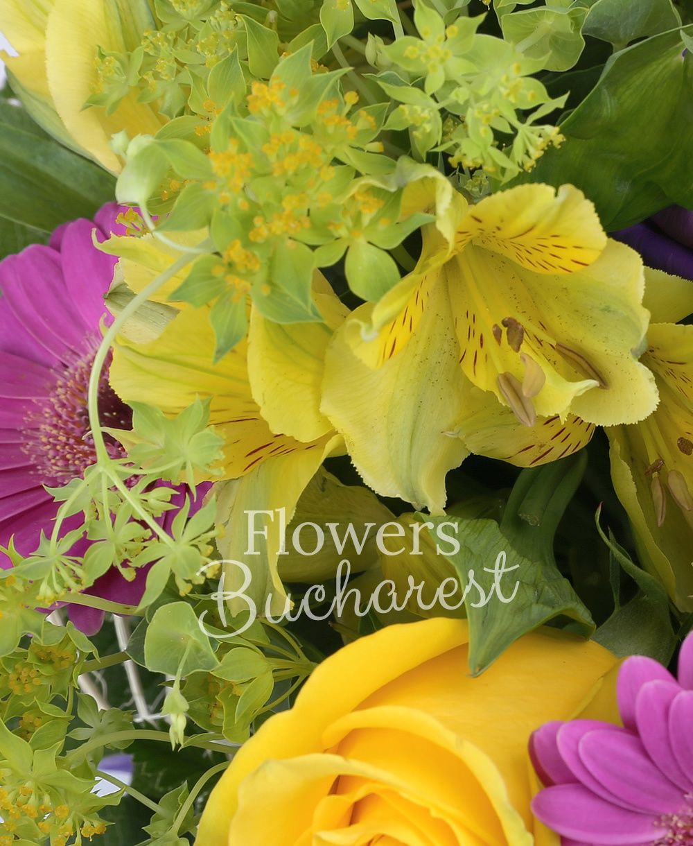 3 yellow roses, 5 cyclam gerbera, 3 yellow alstroemeria, 3 mauve lisianthus, greenery