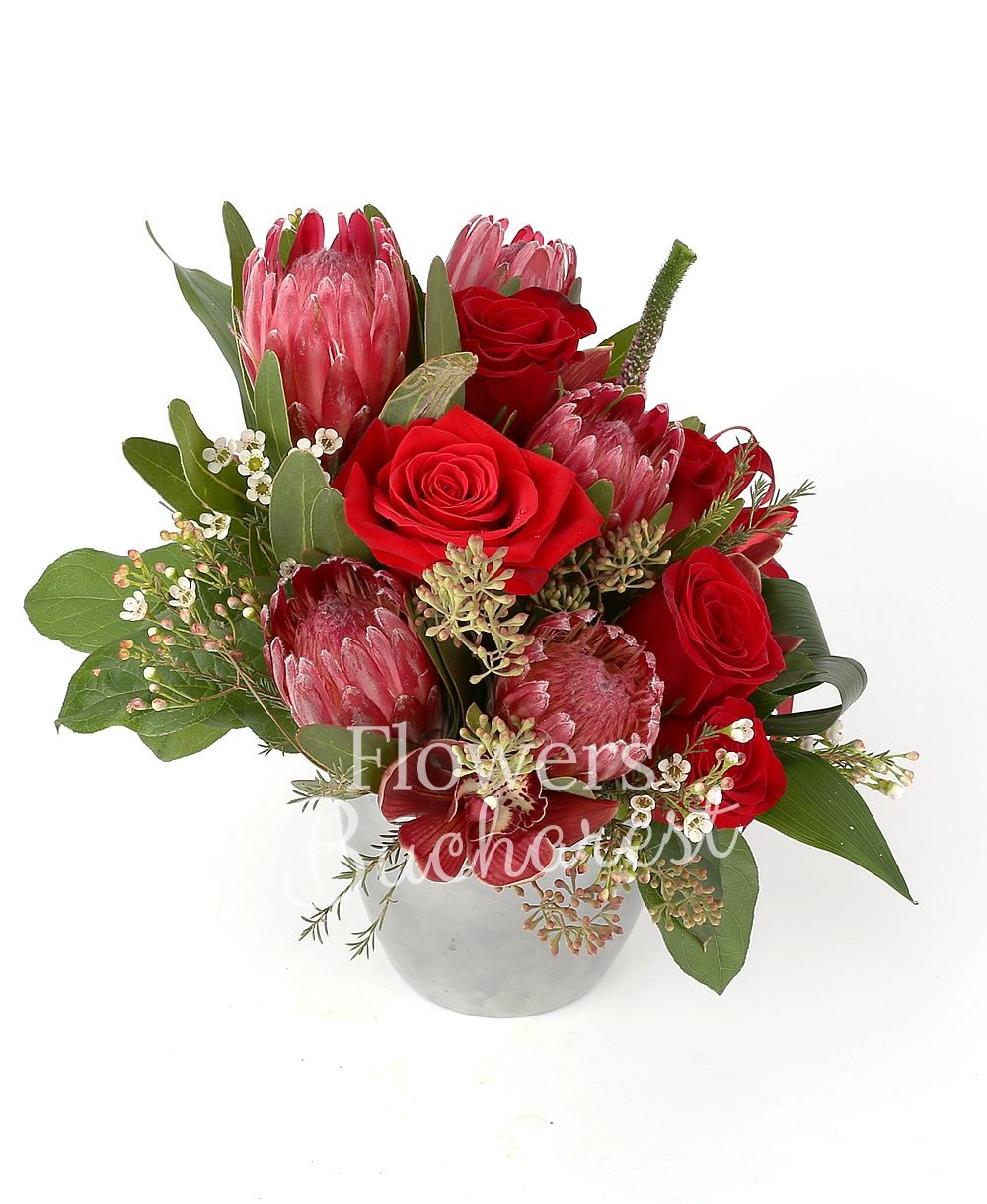 5 red roses, 5 proteea, garnet cymbidium, 3 pink veronica, white waxflower, greenery, ceramic vase