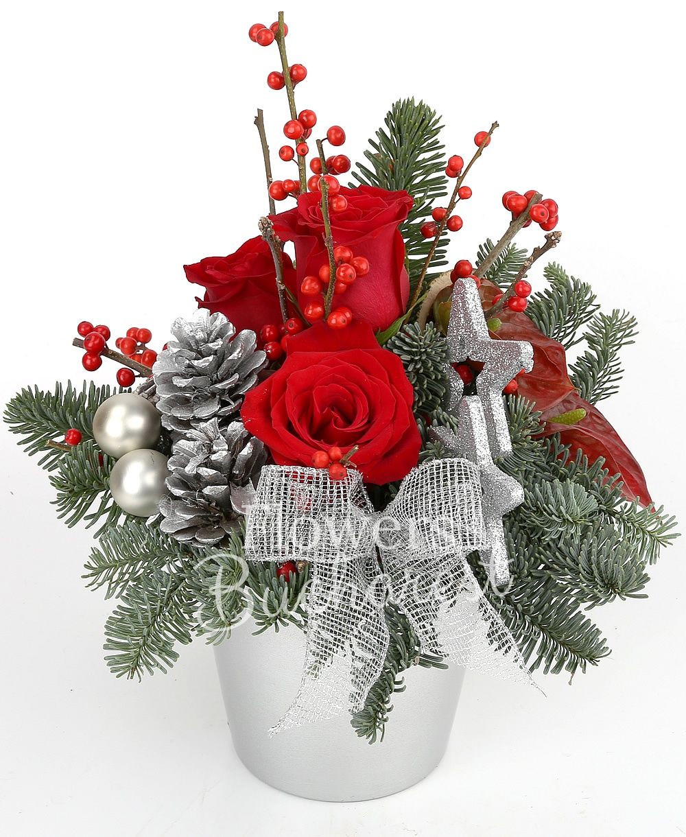 3 red roses, 2 red anthurium, globes, stars, dried orange slices, greenery