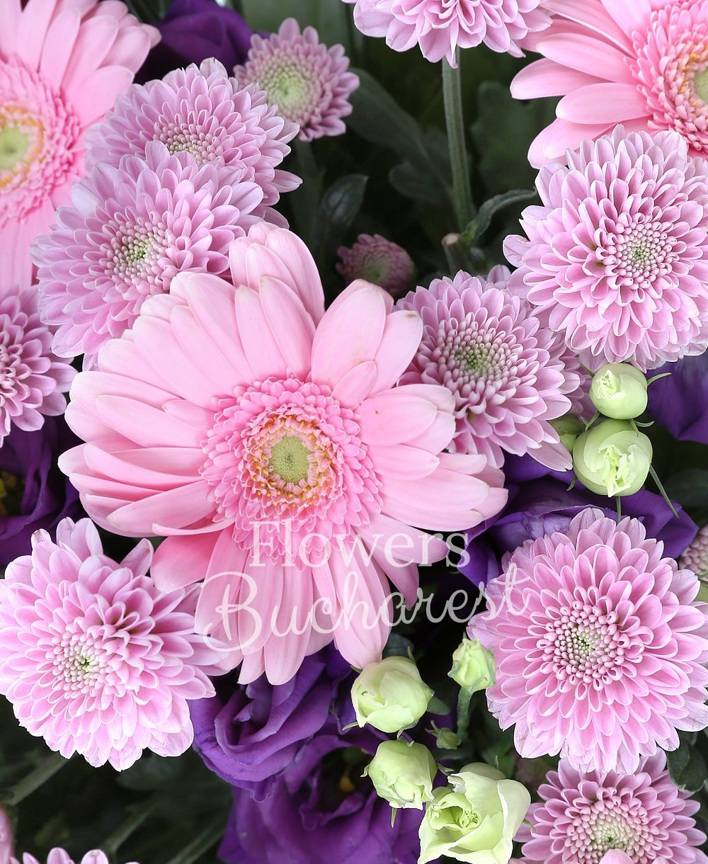 9 gerbera, 9 mauve lisianthus, 7 pink santini, greenery