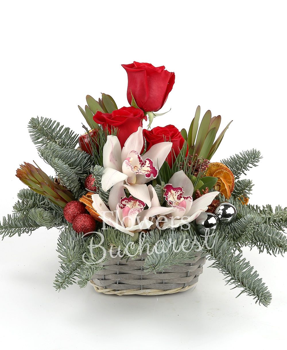 3 red roses, 3 leucadendron, white cymbidium, schimia, globes, dried orange slices, basket