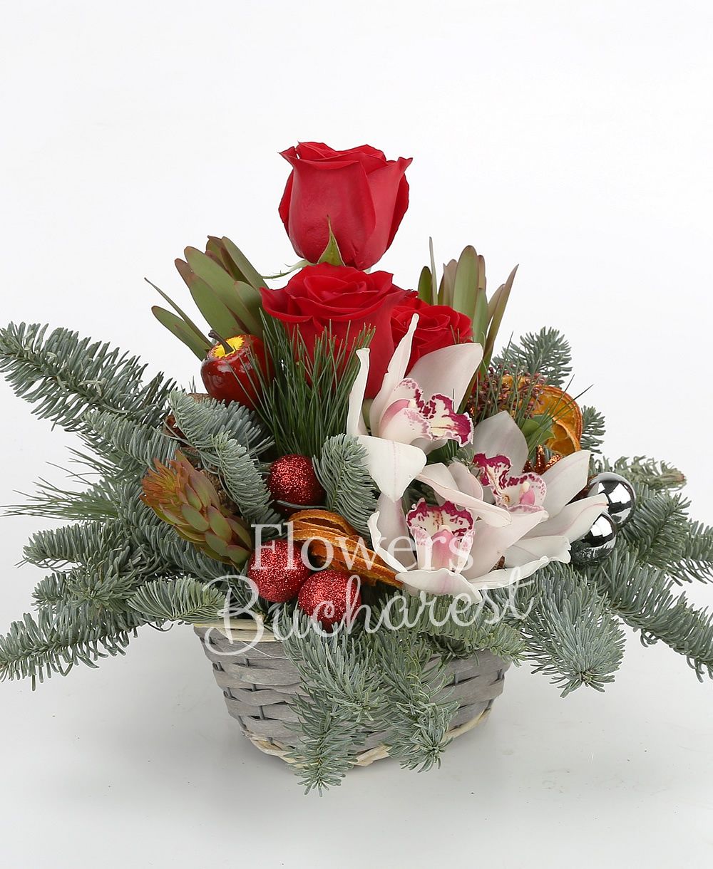 3 red roses, 3 leucadendron, white cymbidium, schimia, globes, dried orange slices, basket