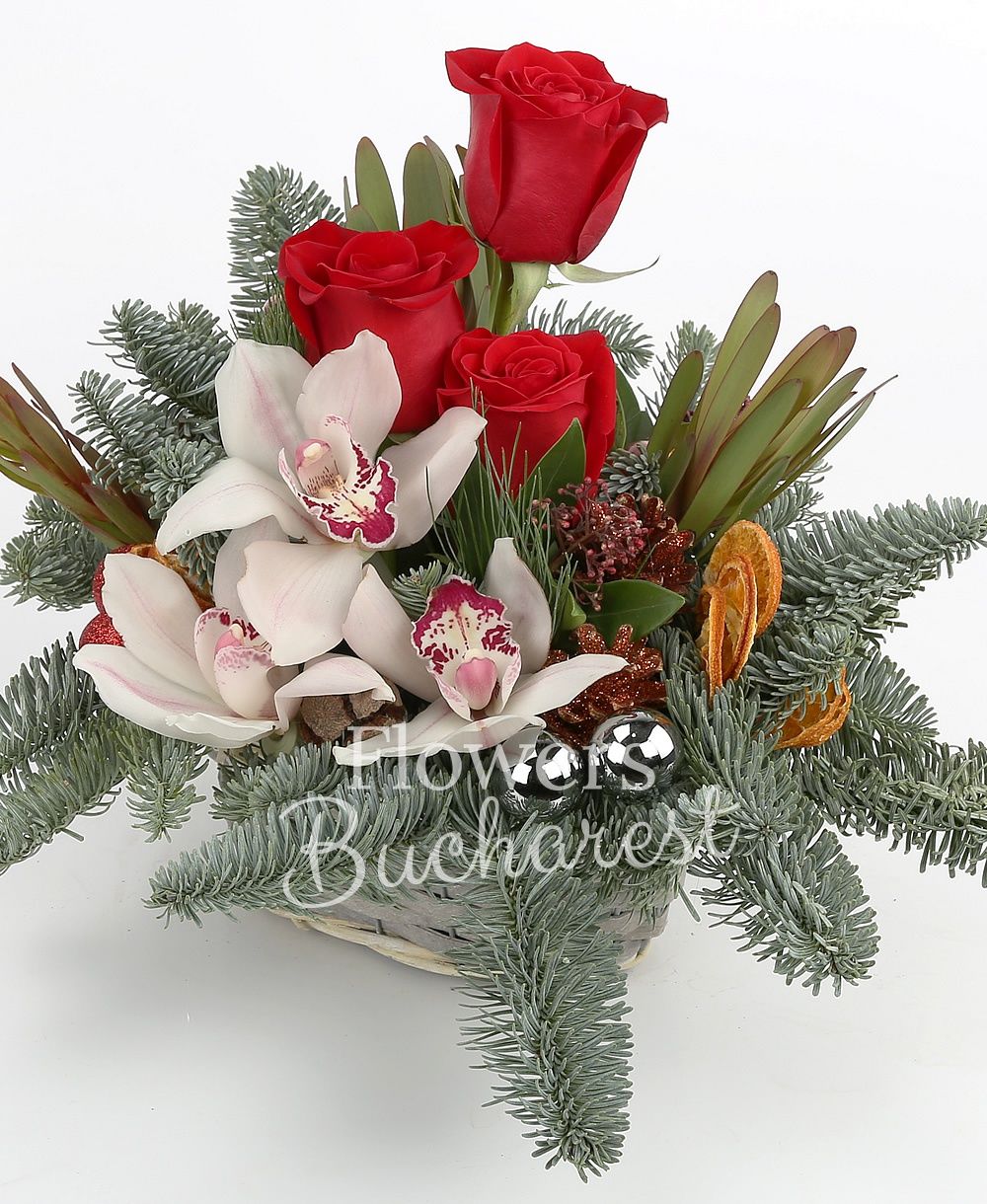 3 red roses, 3 leucadendron, white cymbidium, schimia, globes, dried orange slices, basket