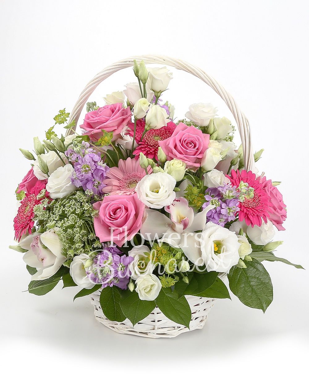 10 mauve matthiola, 10 pink roses, 5 gerbera, 5 lisianthus, white cymbidium, greenery