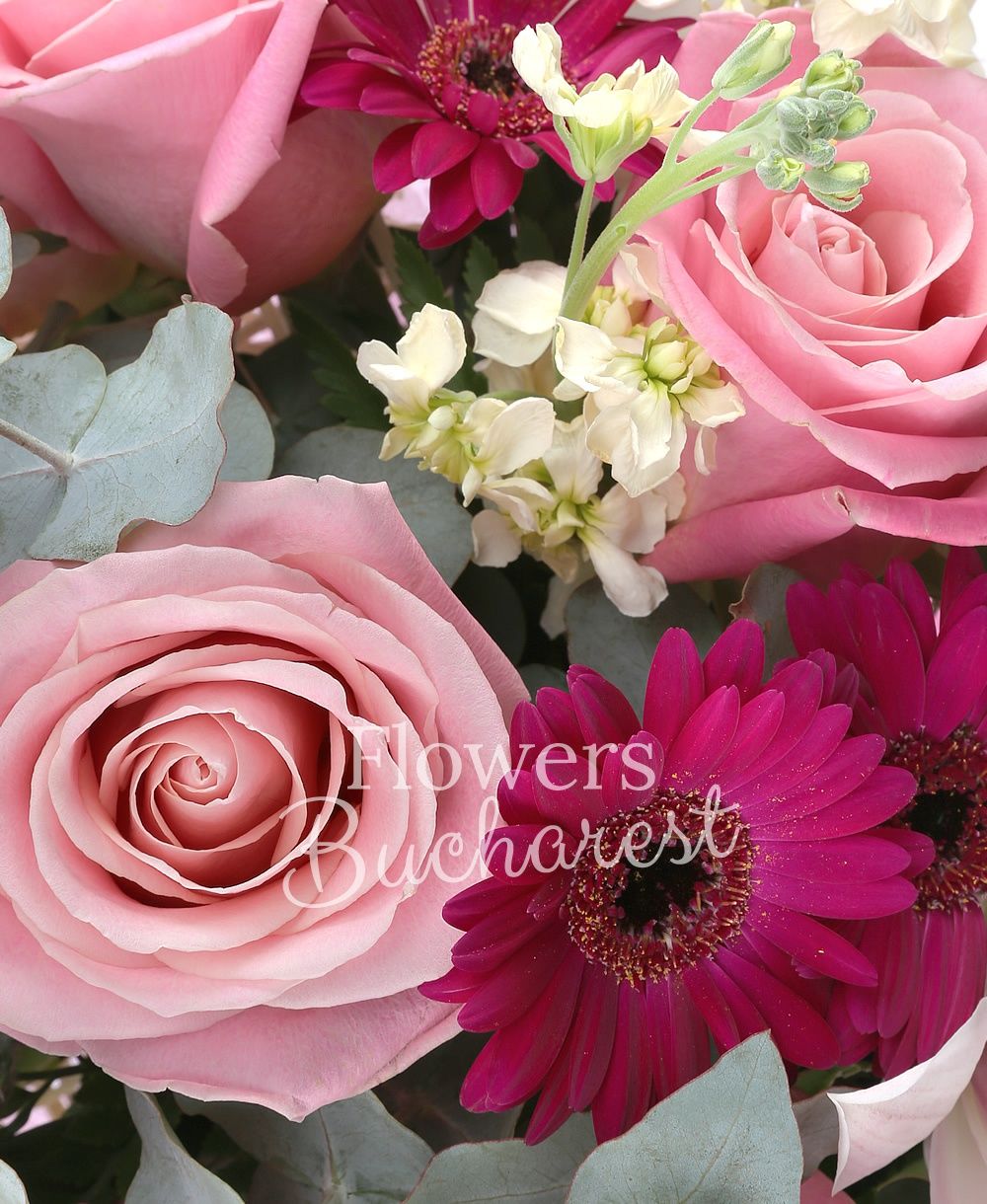 7 pink roses, 10 cream matthiola, 5 cyclam gerbera, white cymbidium, green cymbidium, greenery