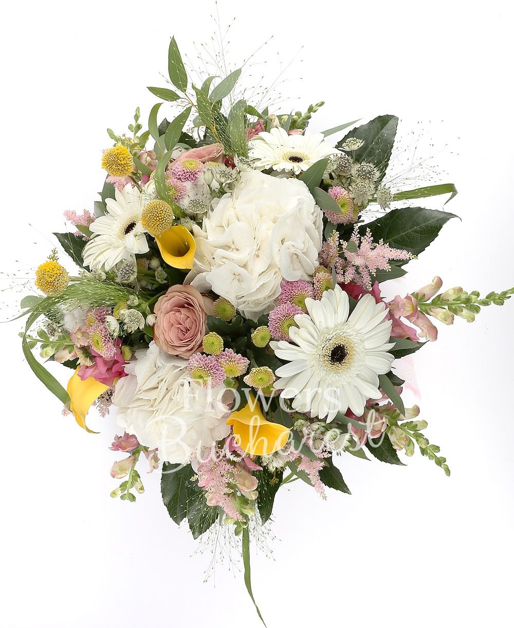 3 yellow cala, 2 hydrangeas, 3 white gerberas, 5 pink astilbe, 5 antirrhinum, 5 pink santini, 5 cappuccino roses, 10 astranția, greenery