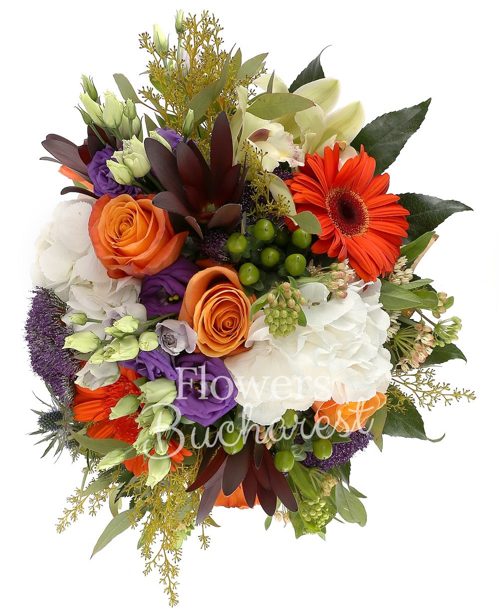 5 orange roses, 3 leucadendrons, 3 orange gerberas, 2 white hydrangeas, 3 purple trachelium, 3 purple lisianthus, 3 green hypericum, 2 eryngium, green cymbidium, greenery