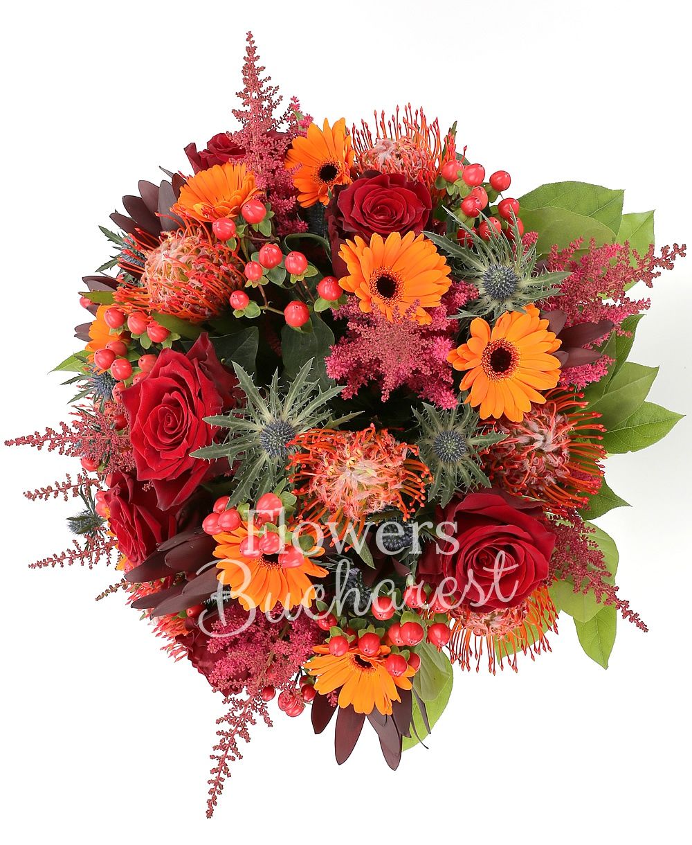 7 red roses, 5 leucospermum, 7 orange gerbera, 4 eryngium, 7 red hypericum, 8 garnet astilbe, 7 leucadendron, greenery