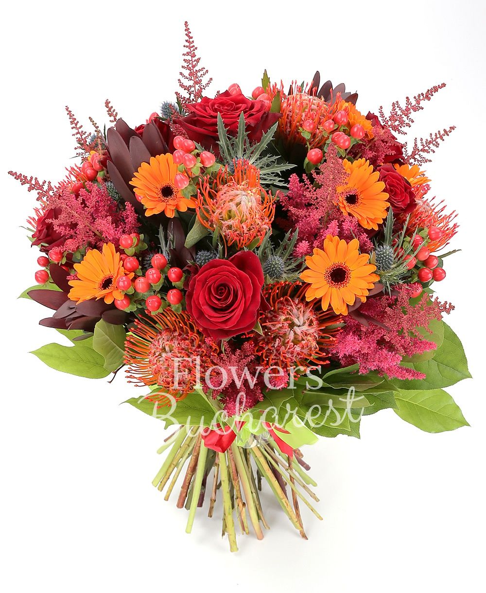 7 red roses, 5 leucospermum, 7 orange gerbera, 4 eryngium, 7 red hypericum, 8 garnet astilbe, 7 leucadendron, greenery