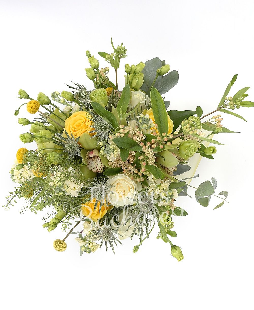 5 yellow craspedia, 3 white roses, 3 yellow roses, 5 green lisianthus, 5 white matthiola, 3 eryngium, green cymbidium, greenery