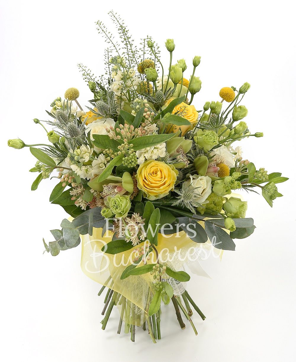 5 yellow craspedia, 3 white roses, 3 yellow roses, 5 green lisianthus, 5 white matthiola, 3 eryngium, green cymbidium, greenery