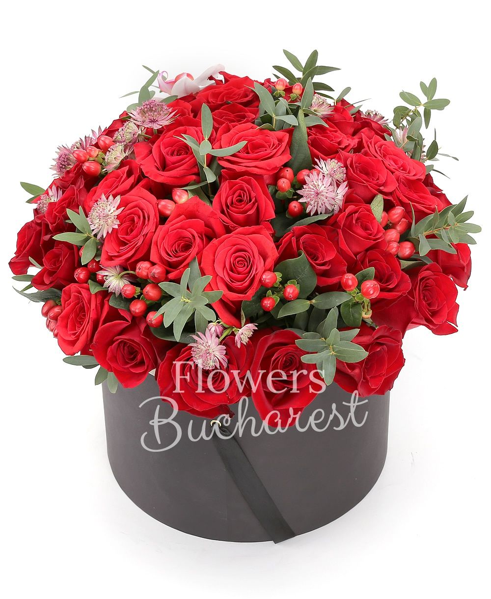 51 red roses, astranția, 5 hypericum, greenery