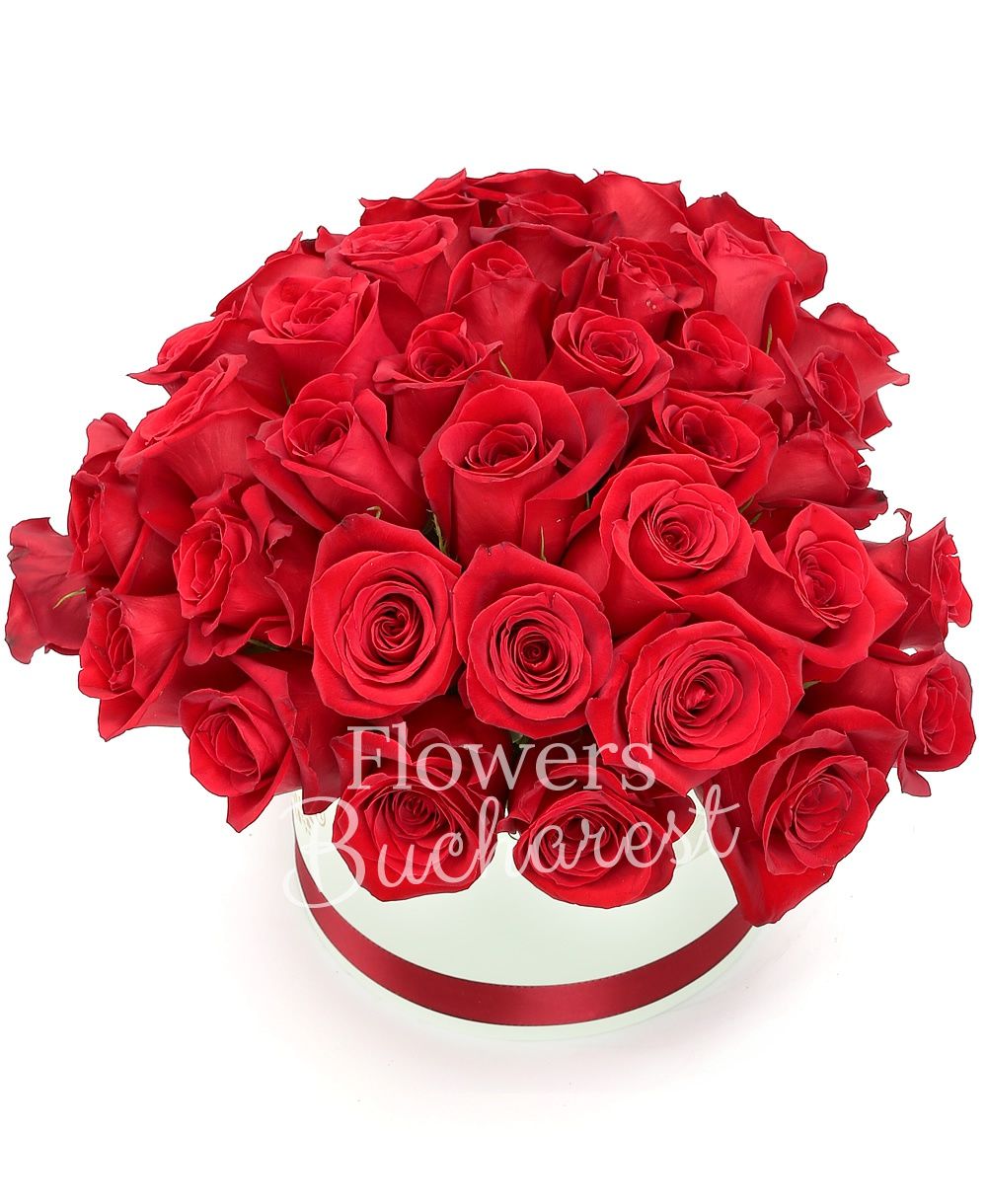 43 red roses